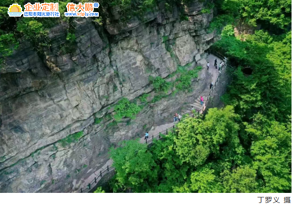 ScreenShot_2026-05-05_115305_877.png