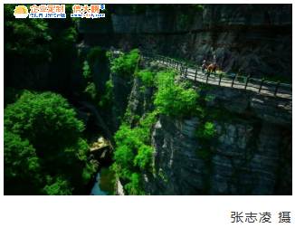 ScreenShot_2026-05-05_115321_516.png